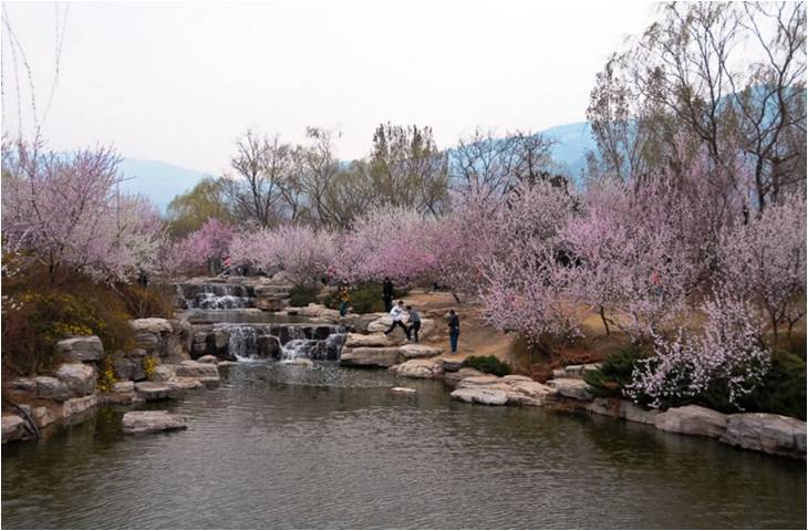 金源油茶生(shēng)态園圖片