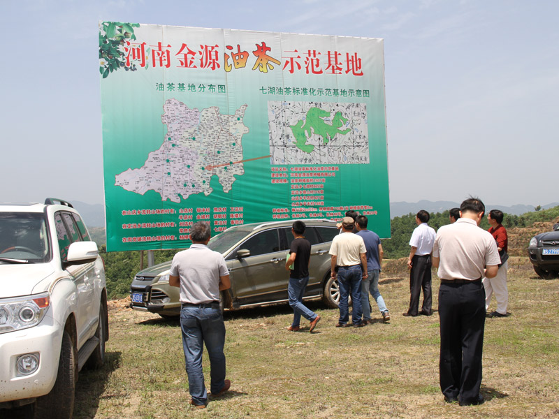 市領導一行莅臨油茶基地參觀考察