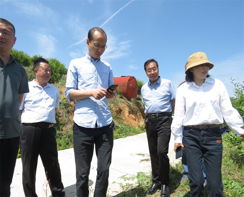 信陽市農業銀行行長到金源油茶基地視察