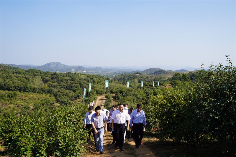 省林業局局長原永勝一行到金源油茶基地考察