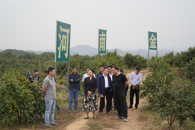 市發改委黨組書(shū)記、主任梁玉峰一行到金源油茶實地調研