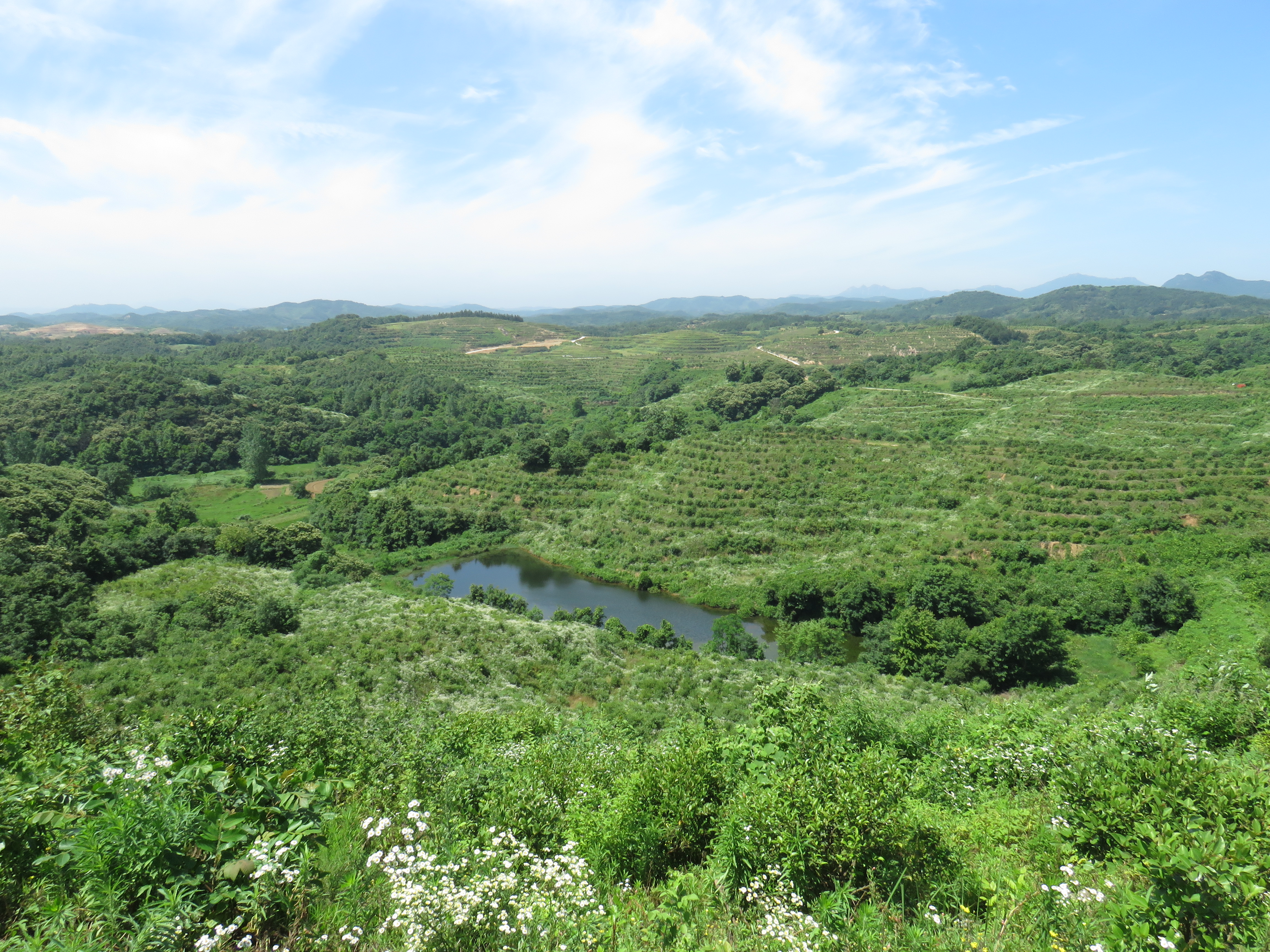 基地建設